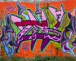 ZEB7