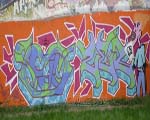 ZEB7 / SCAM