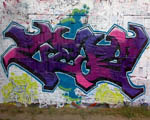 ZEB7 / SCAM