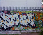 ZMUE