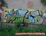 ZYKO